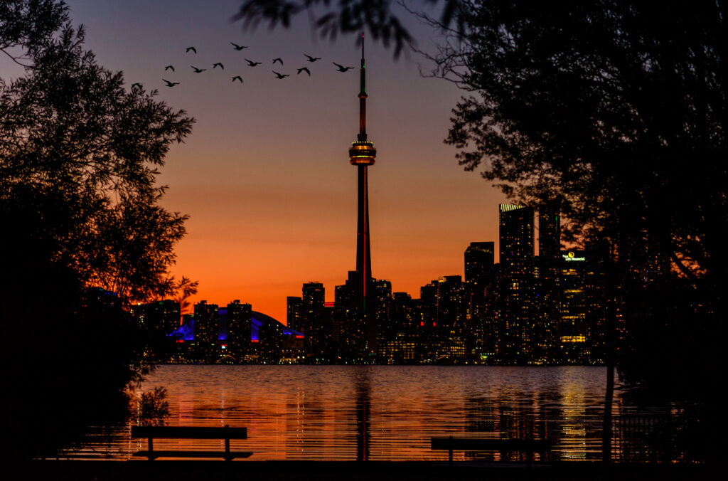 The CN tower colour